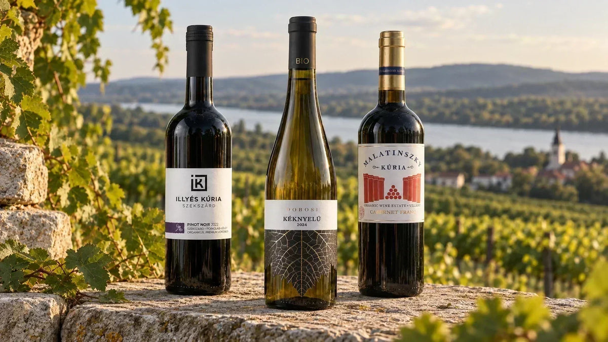 Does BIO Wine Really Taste Better, or Is It Just Marketing? The Truth About Organic Wine