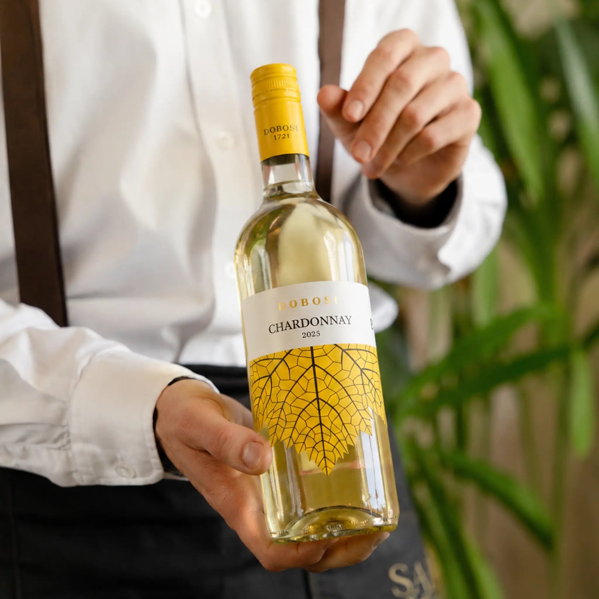 Dobosi Chardonnay 2025 BIO - Száraz Fehérbor - 5