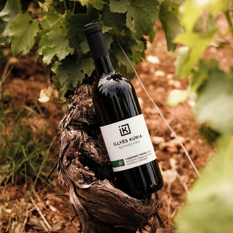 Illyés Kúria Cabernet Franc 2021 BIO - Száraz Vörösbor - 7