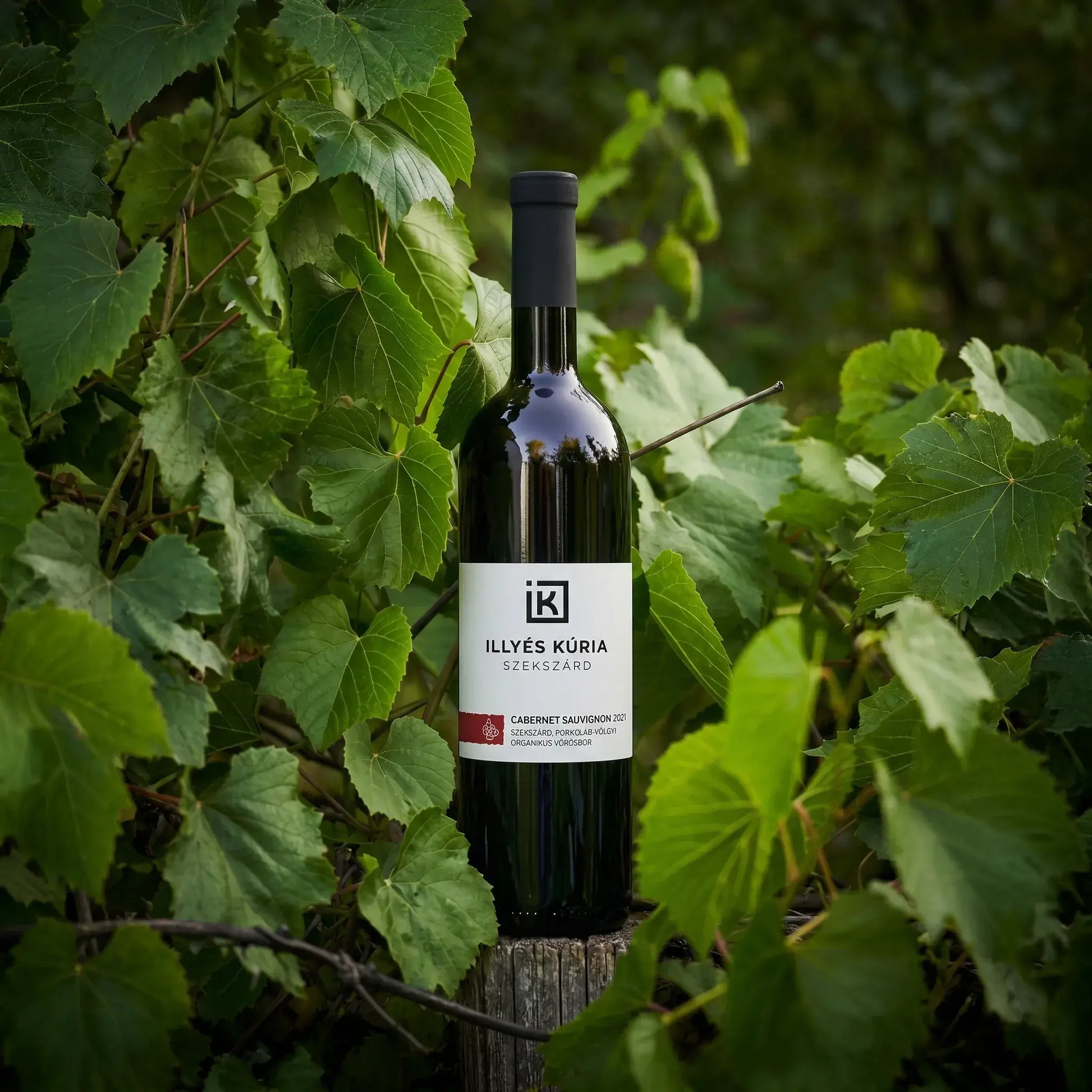 Illyés Kúria Cabernet Sauvignon 2021 BIO - Száraz Vörösbor - 2