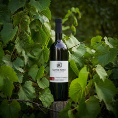 Illyés Kúria Cabernet Sauvignon 2021 BIO - Száraz Vörösbor - 2