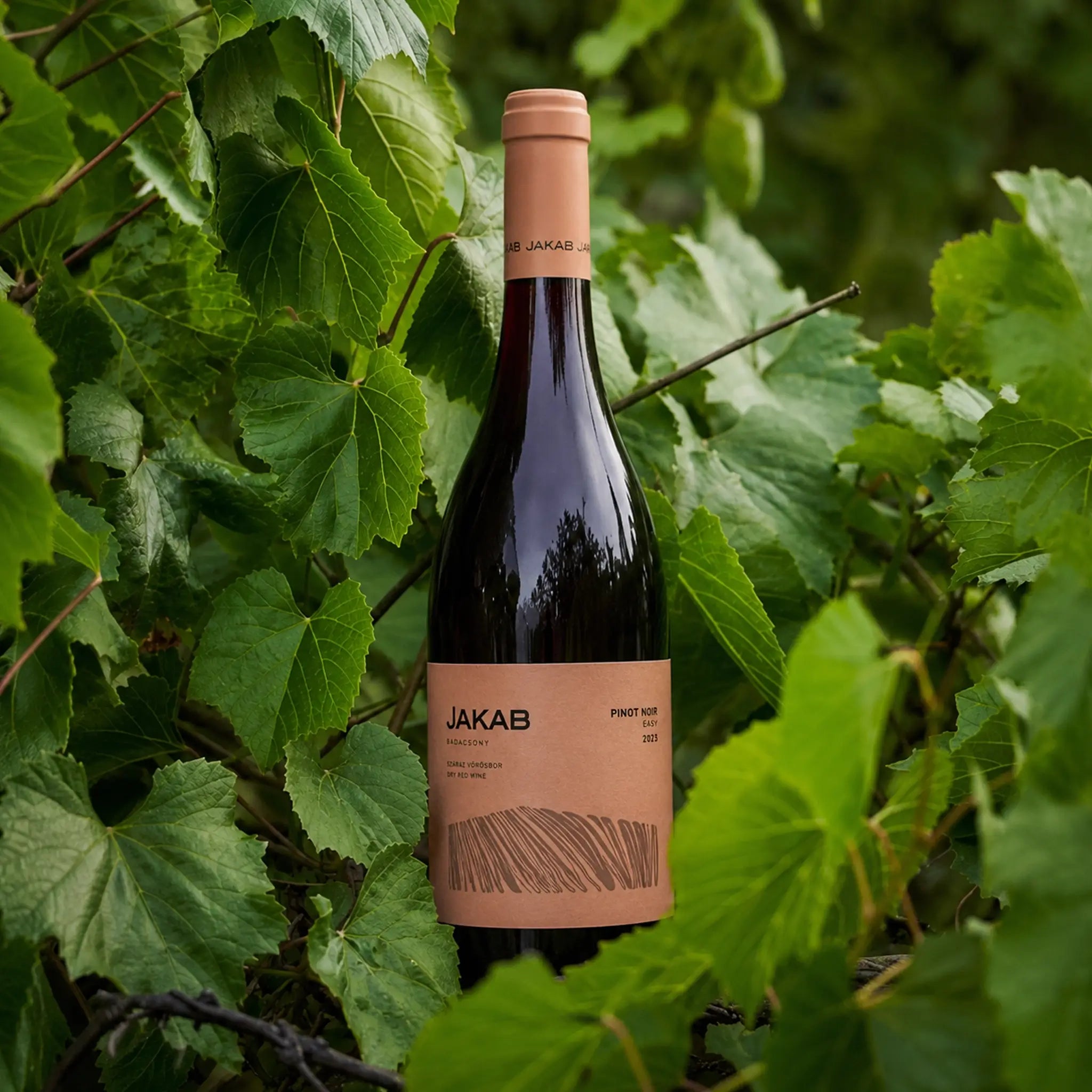 Jakab Badacsony Pinot Noir Easy 2023 - Száraz Vörösbor - 3