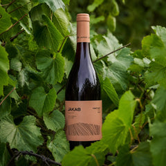Jakab Badacsony Pinot Noir Easy 2023 - Száraz Vörösbor - 3