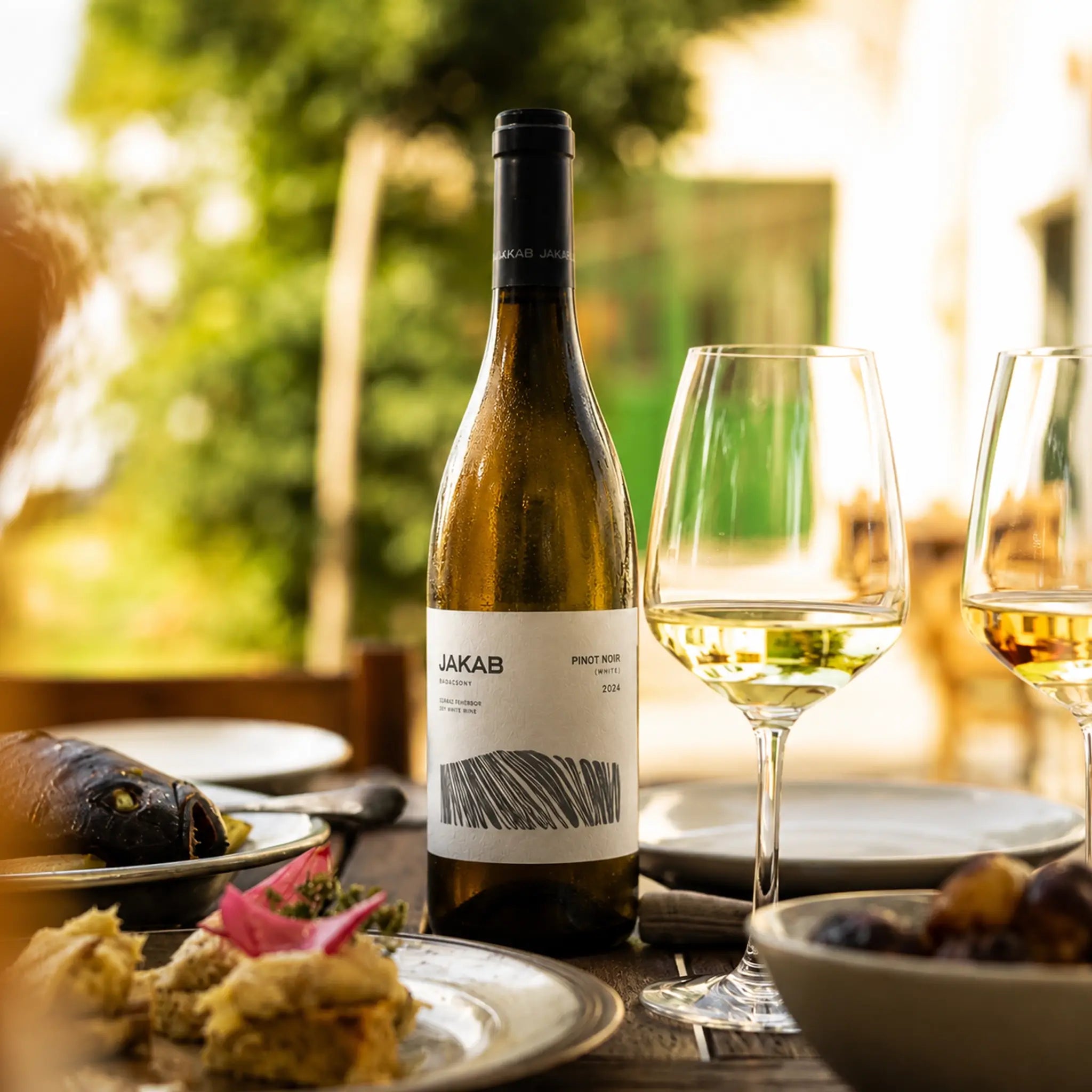 Jakab Badacsony Pinot Noir White 2024 - Száraz Fehérbor - 3
