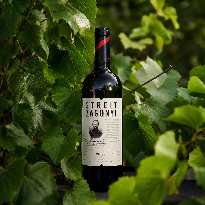 Streit Zagonyi Merlot 2018 - Száraz Vörösbor - 6